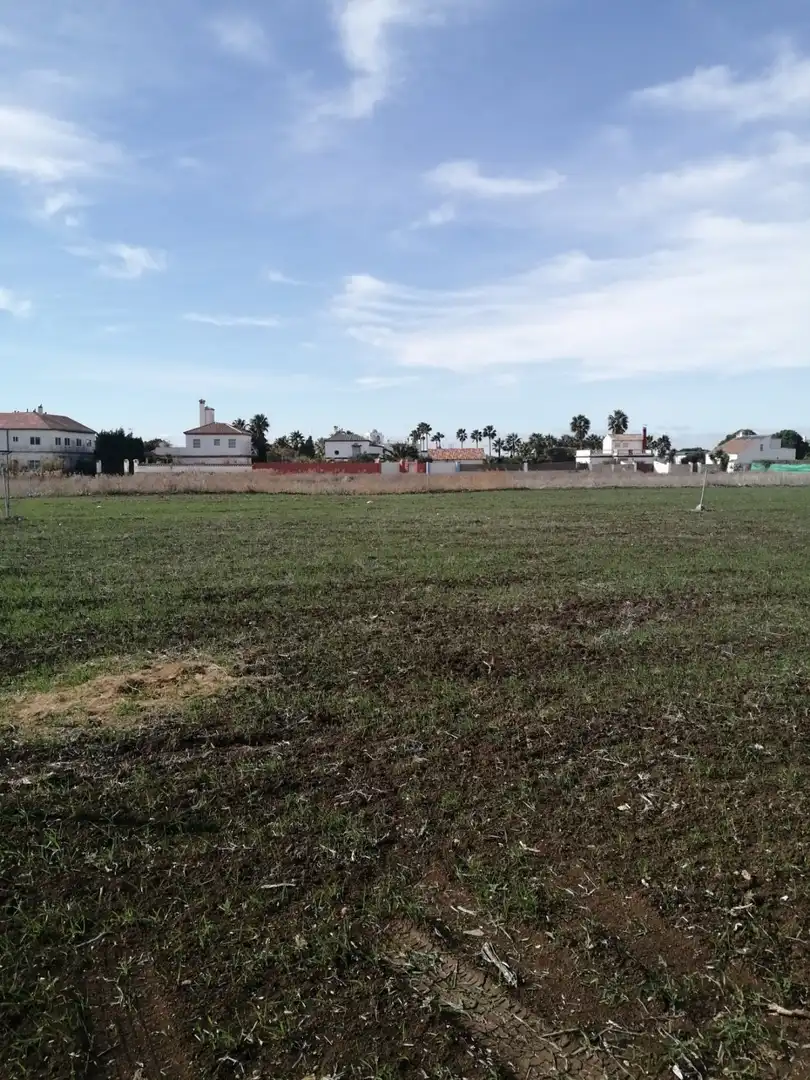 Terrain rustique à vendre à Vejer, imagen 3