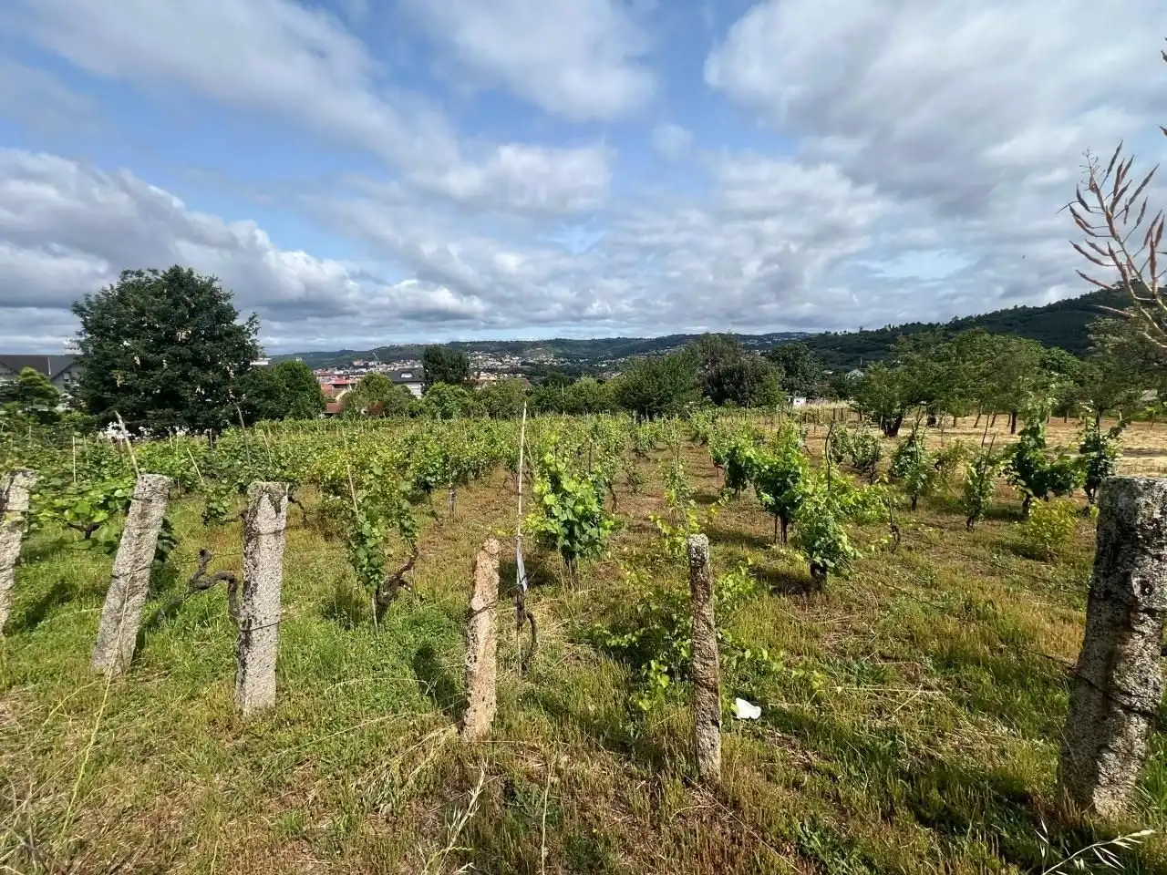 Maison avec terrasse à vendre à Rua da Leira, Camiño Souto Sanin 4, imagen 11