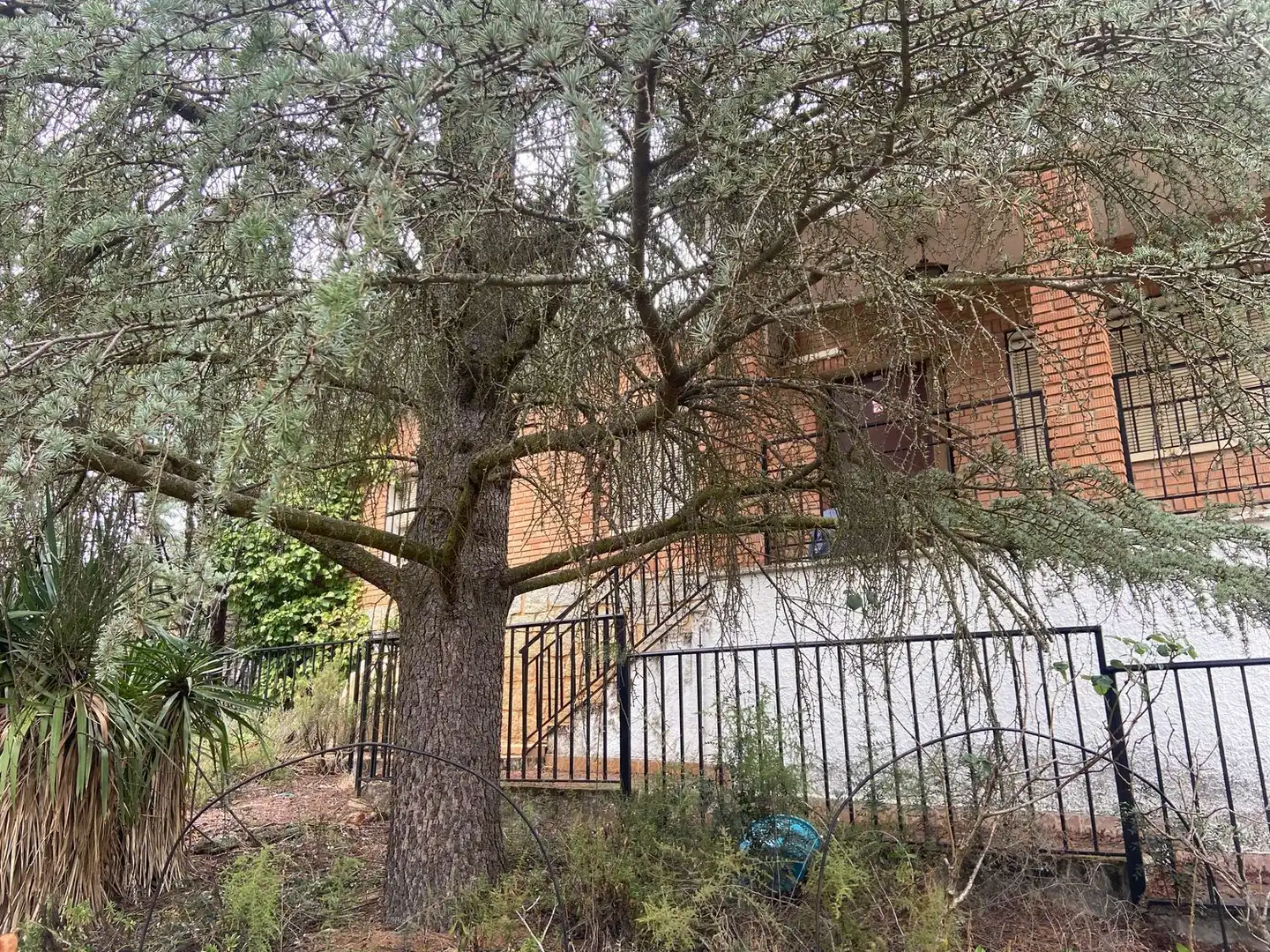 Vista exterior de Casa o xalet en venda en Piedrabuena amb Aire condicionat, Calefacció i Jardí privat