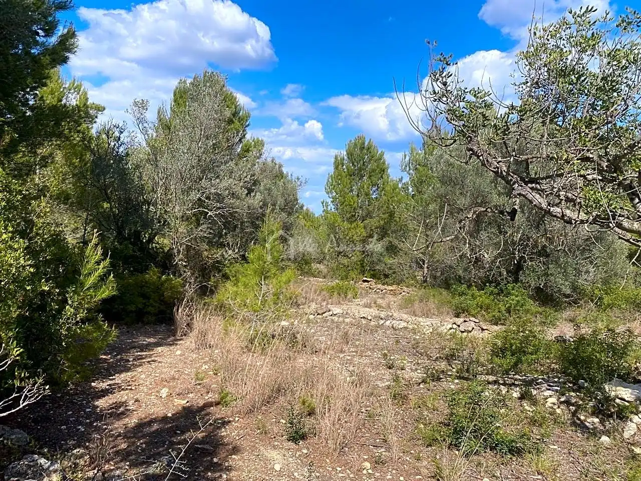 Terreno rustico in vendita a Ligallo de les Bordes, imagen 10