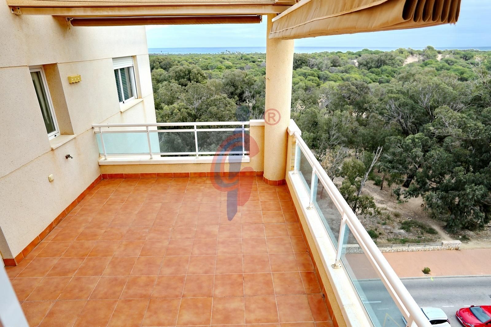 Terrassa de Àtic en venda en Guardamar del Segura amb Aire condicionat, Jardí privat i Terrassa