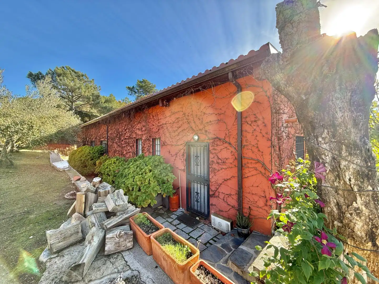 Vista exterior de Finca rústica en venta en Piedralaves con Jardín privado, Terraza y Trastero