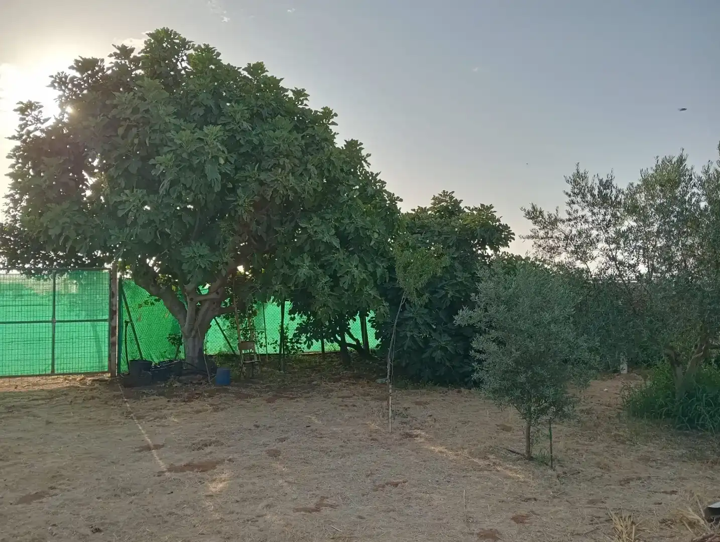 Casa o chalet en venta en Guadalcázar
