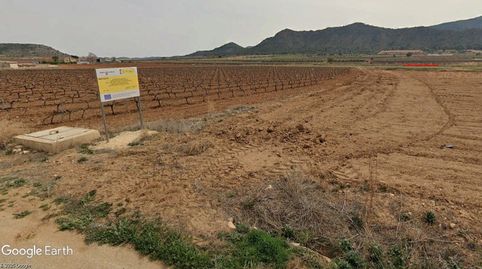 PARCELA DE REGADÍO CON POSIBILIDAD DE CONSTRUIR VIVIENDA, NAVE AGRÍCOLA., immagine 4