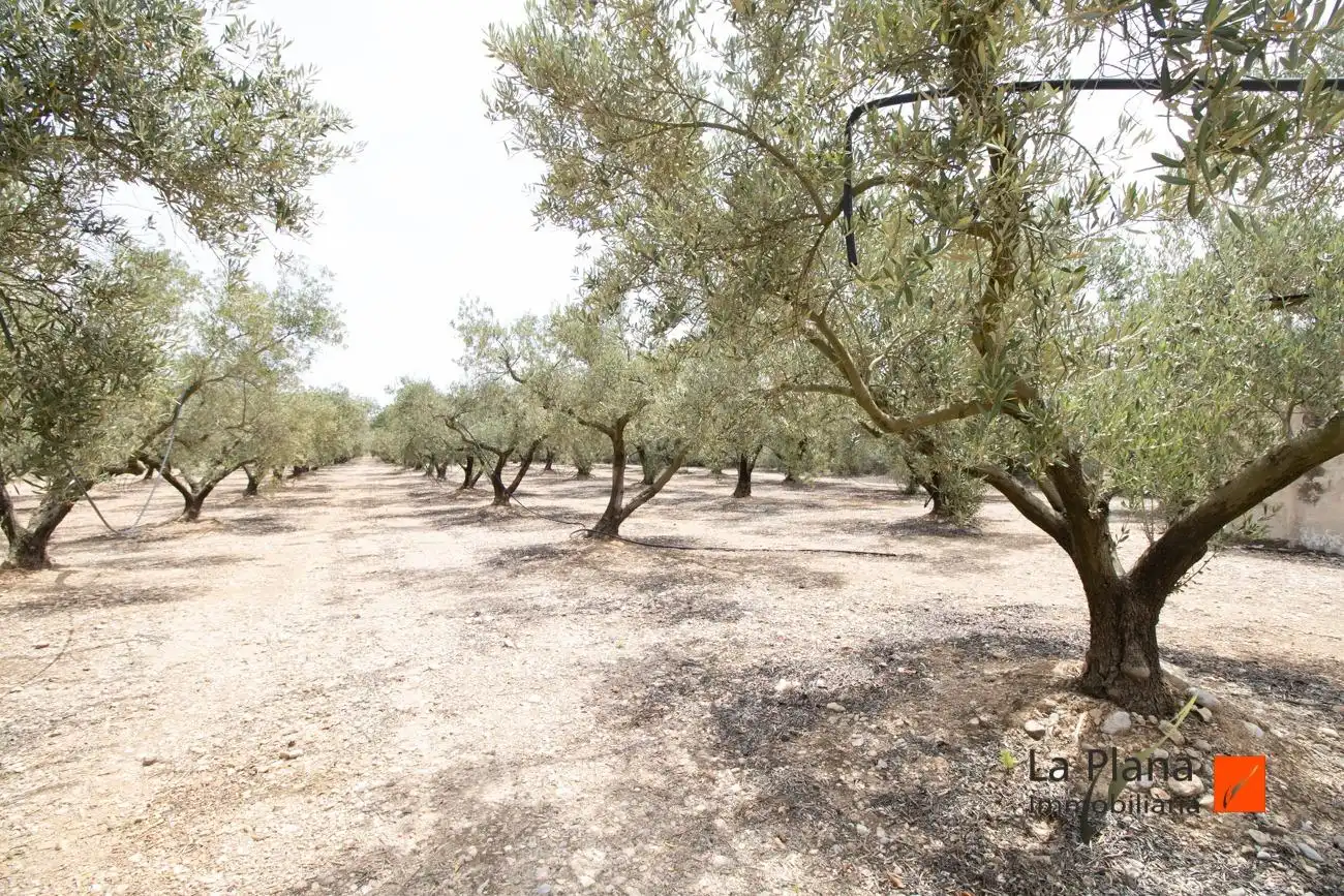 Terrenys i solars en venda a Santa Bàrbara, imagen 3