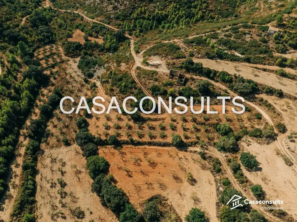 Casa rustica con giardino in vendita a Useras /  Les Useres, imagen 11