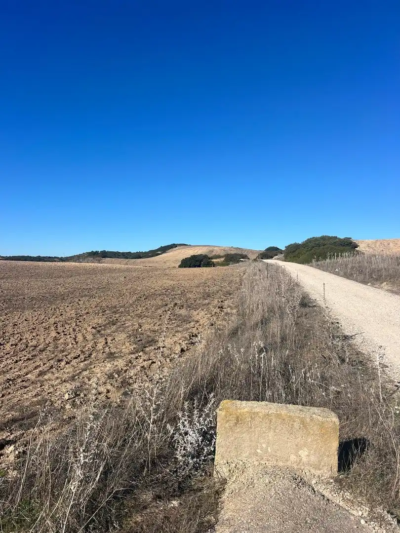 Terreny rústic en venda a Medina Sidonia, imagen 4