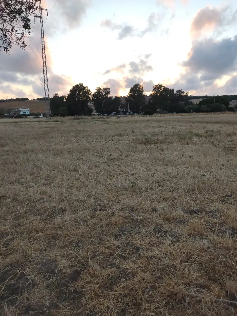 Land for sale in Vejer de la Frontera