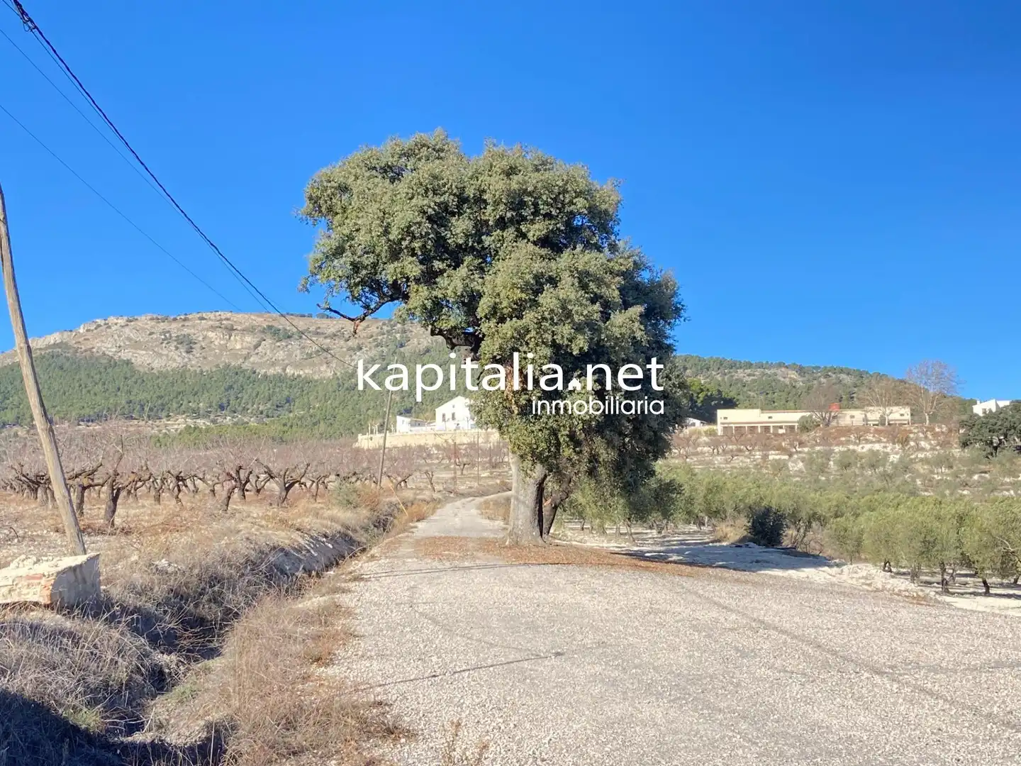 Finca rústica en venta en Penàguila con Calefacción, Jardín privado y Terraza