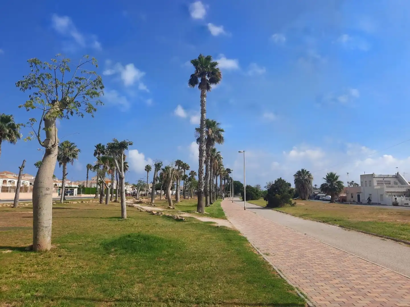 Vista exterior de Casa o xalet en venda en Torrevieja amb Aire condicionat, Jardí privat i Terrassa
