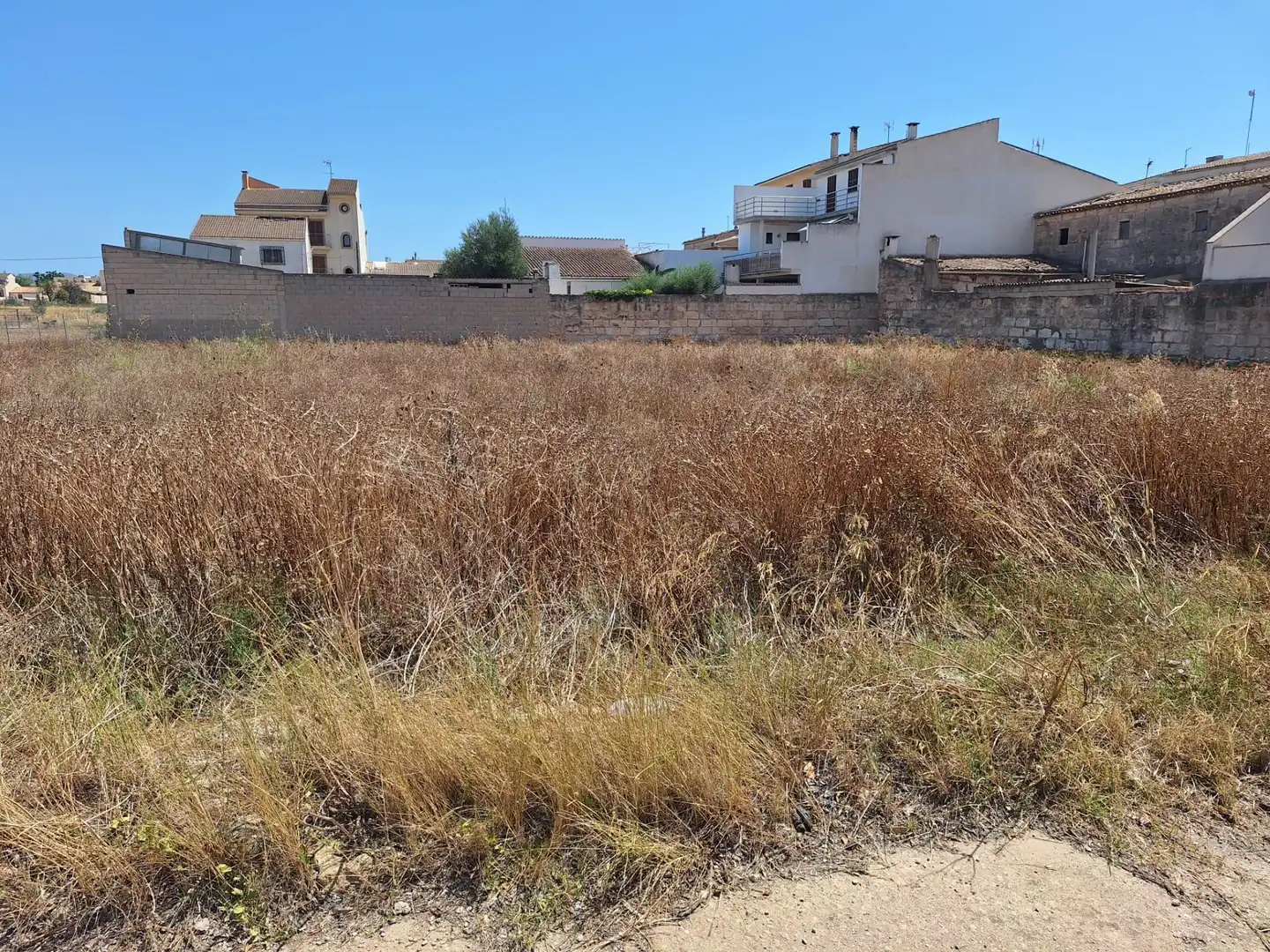 Lands and plots for sale in Sa Pobla, imagen 6