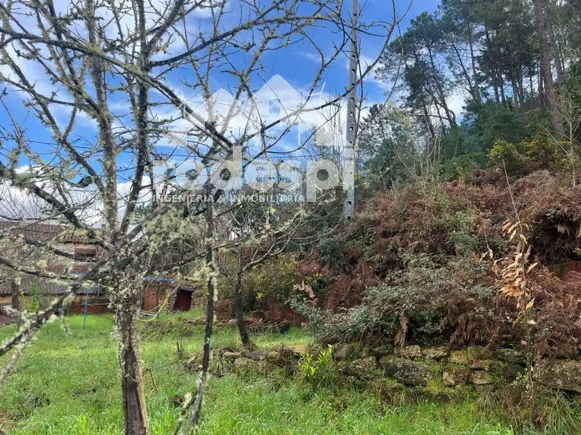 Casa o chalet en venta en Castrelo de Miño