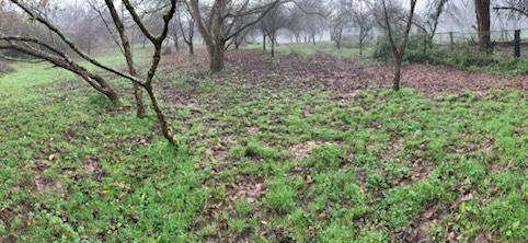 Photo 4 of Residential for sale in Parres, Asturias