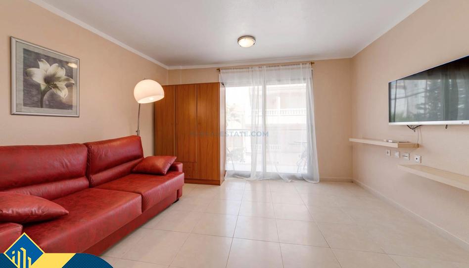 Photo 1 of Study for sale in Zona Playa de los Locos, Alicante