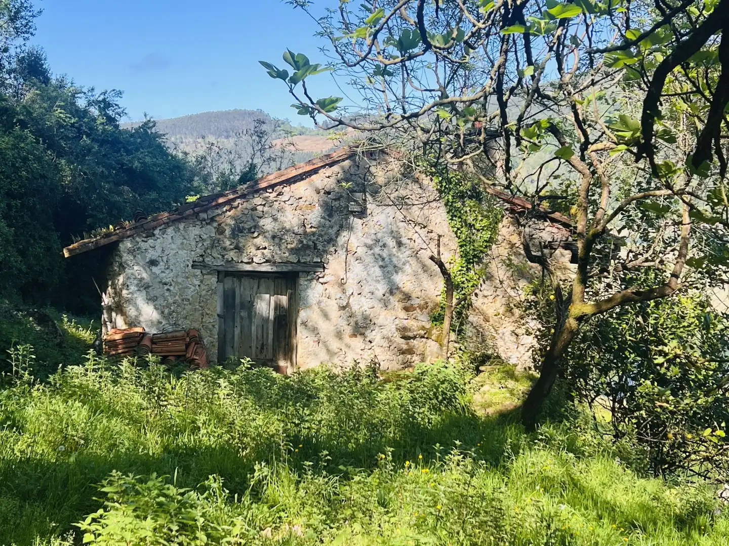 Vista exterior de Casa o chalet en venta en Voto con Terraza, Trastero y Balcón