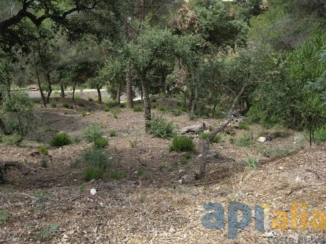 Residential land for sale in Carrer Alzina, imagen 7