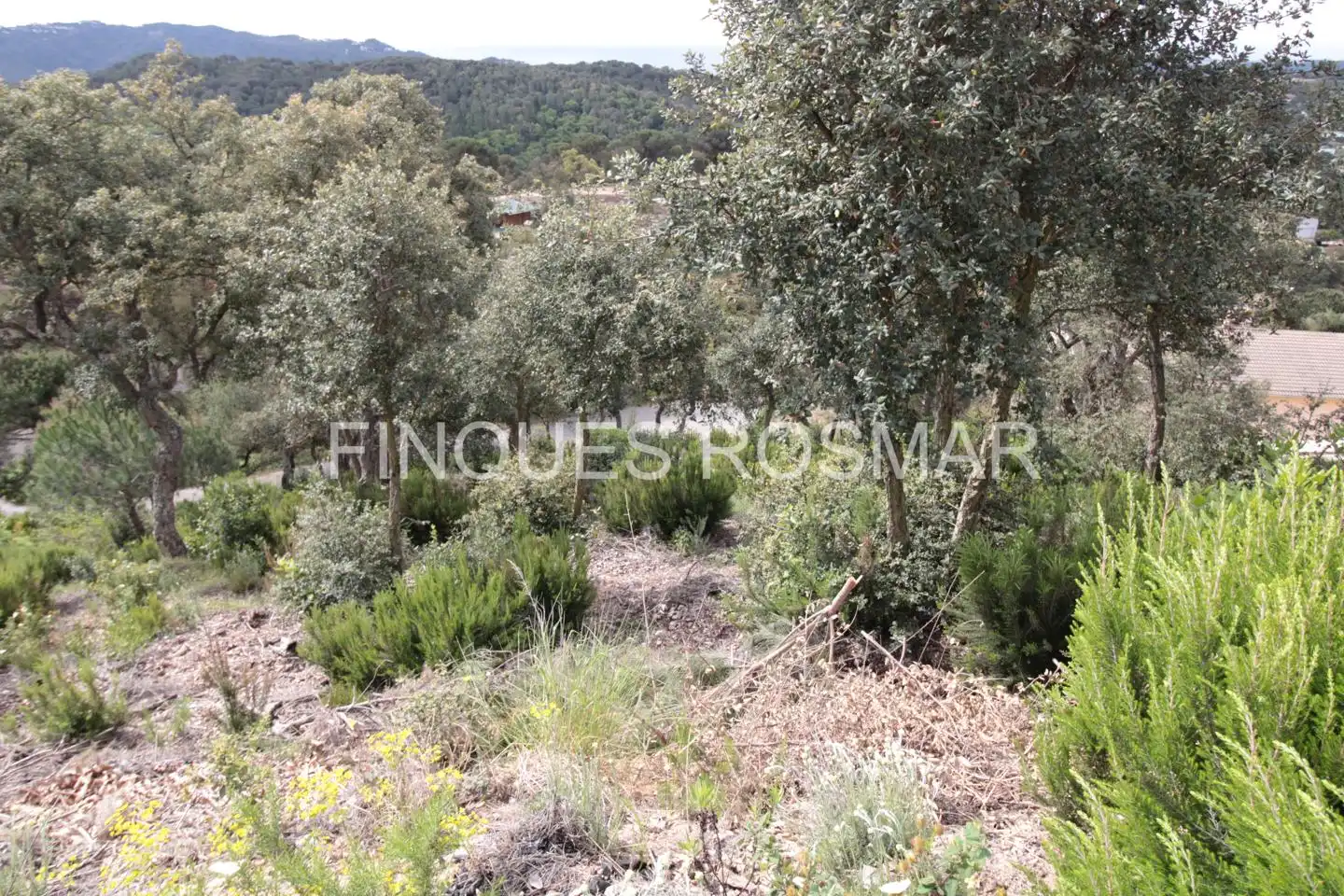 Terreni e lotti in vendita a Lloret Residencial - Montlloret, imagen 6