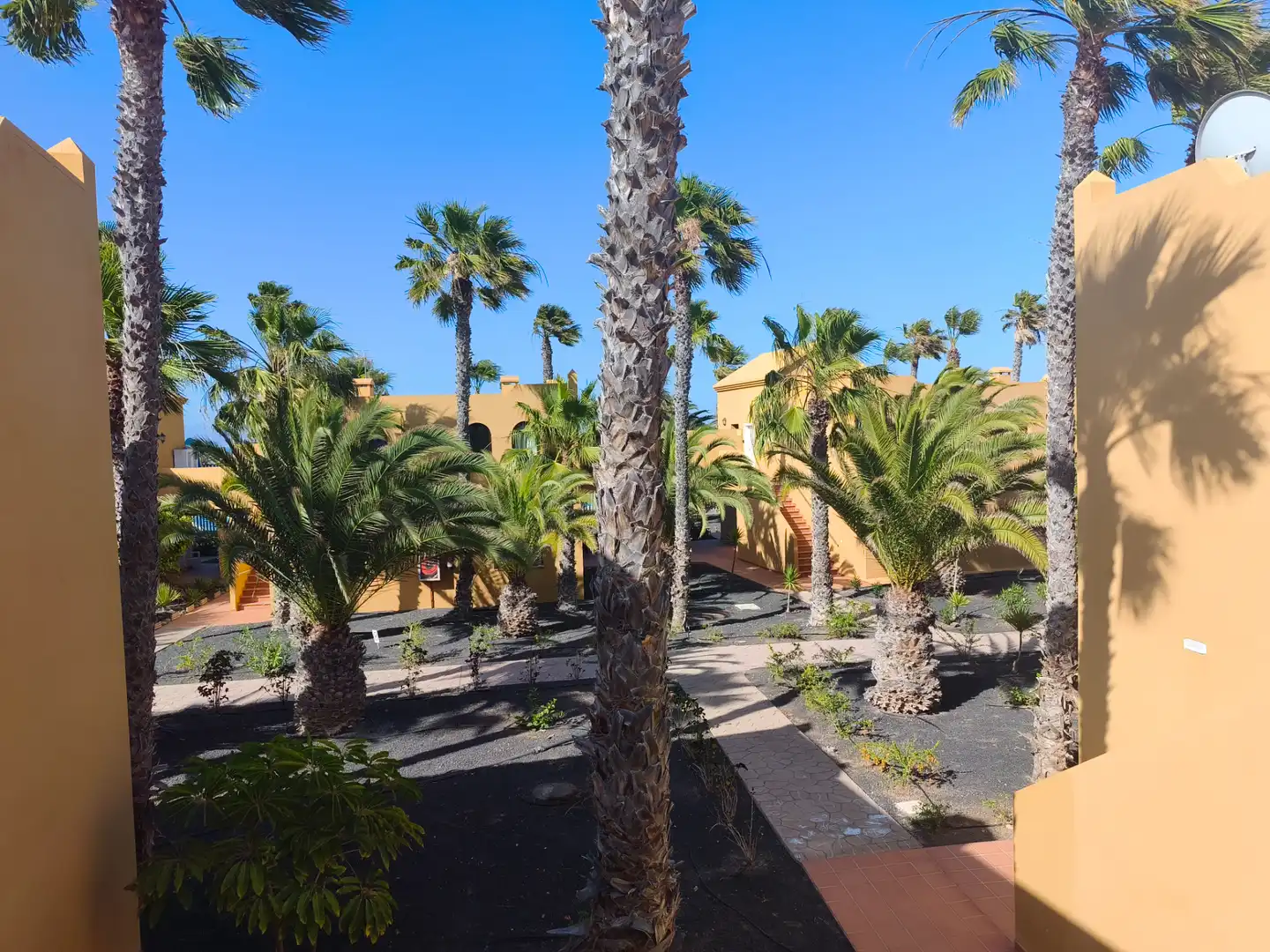 Vista exterior de Apartamento en venta en La Oliva con Terraza, Amueblado y Piscina comunitaria