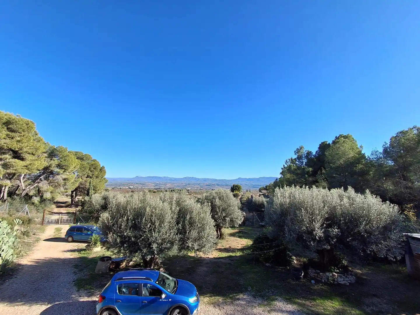 Finca rústica en venda en Móra d'Ebre