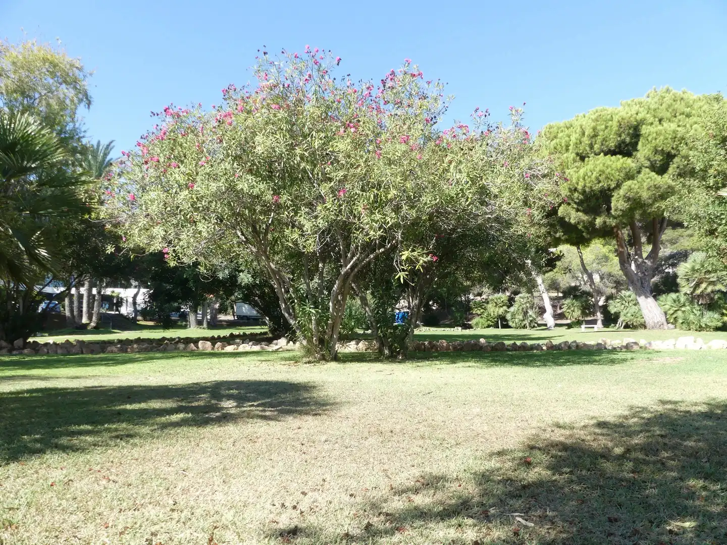 Garten von Wohnungen zum Verkauf in Orihuela mit Klimaanlage, Heizung und Terrasse