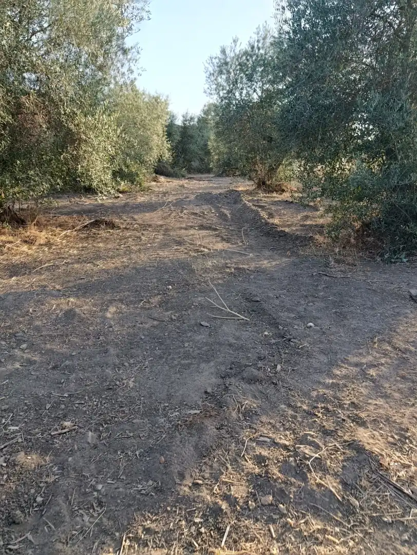 Residential land for sale in Calleja Nora 3, imagen 7