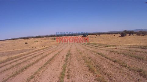 Foto 3 de Finca rústica en venta en Calle la Copa, Peraleda de la Mata, Cáceres