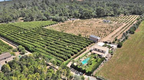 Photo 3 of House or chalet to rent in Ariany, Illes Balears