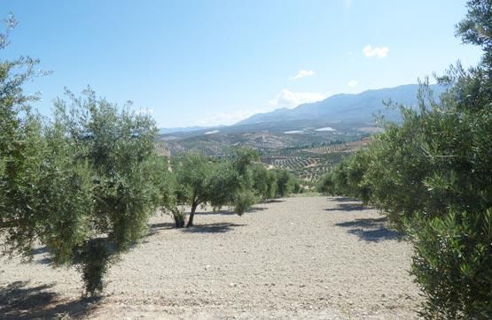 Residential for sale in Vilches