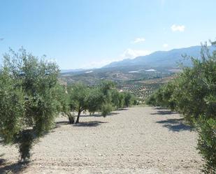 Residential for sale in Vilches