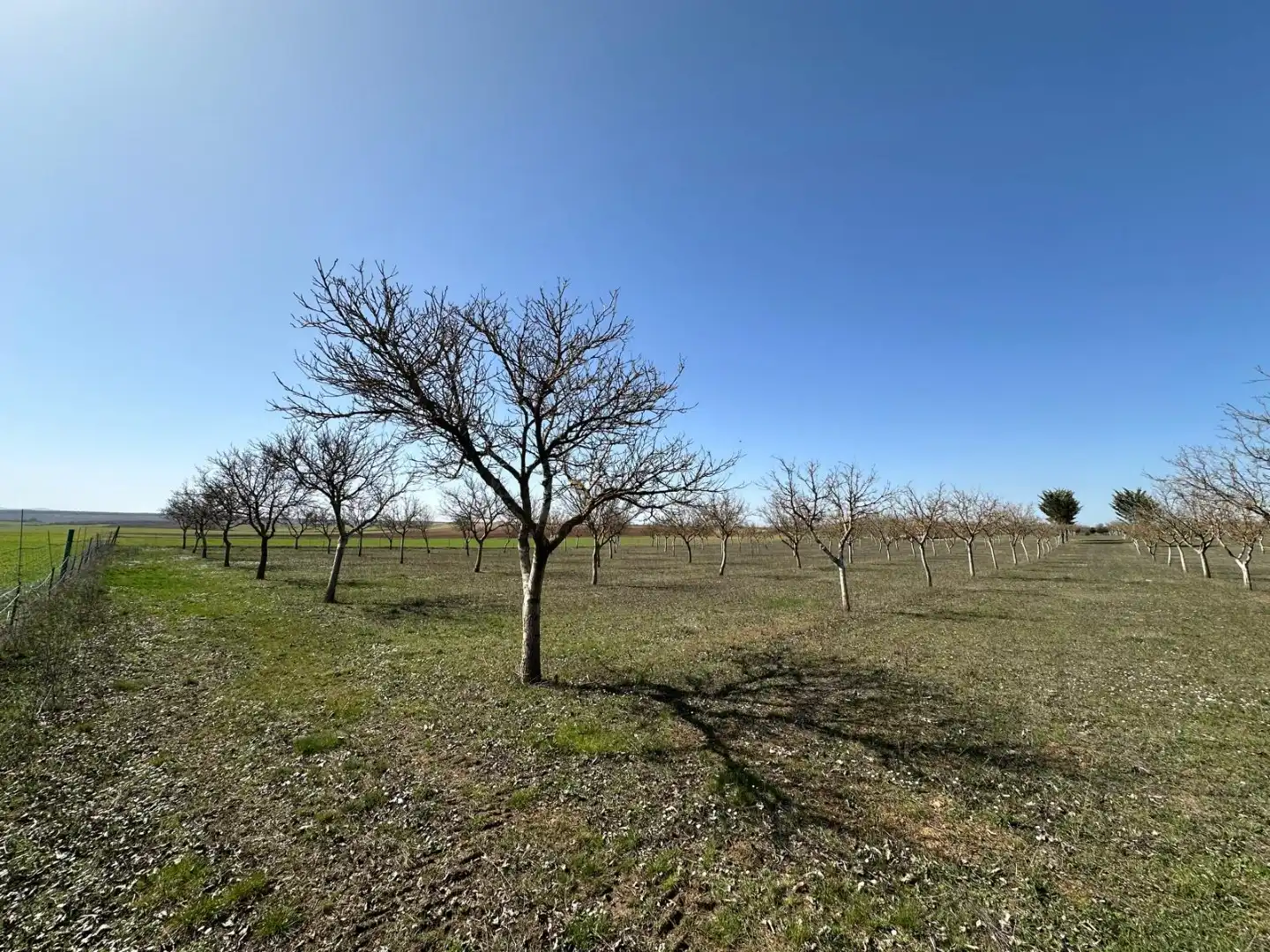 Houses for sale in Arlanzón  with Private garden
