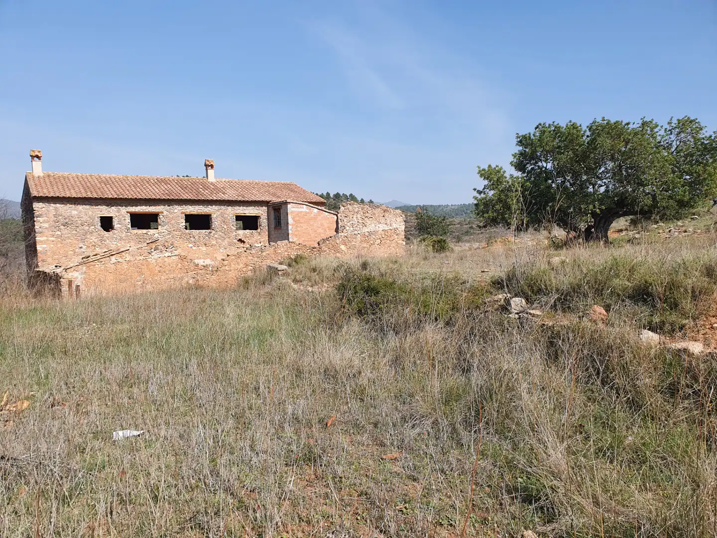 Terreno rustico in vendita a Segorbe