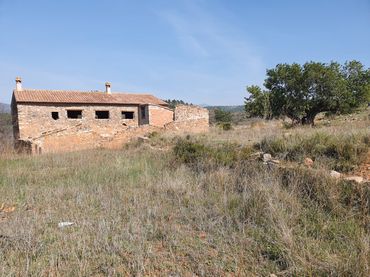 Terreno rustico in vendita a Segorbe