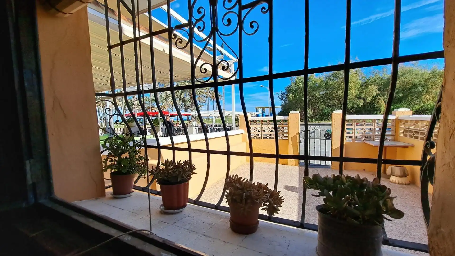 Commercial properties for sale in La Patacona