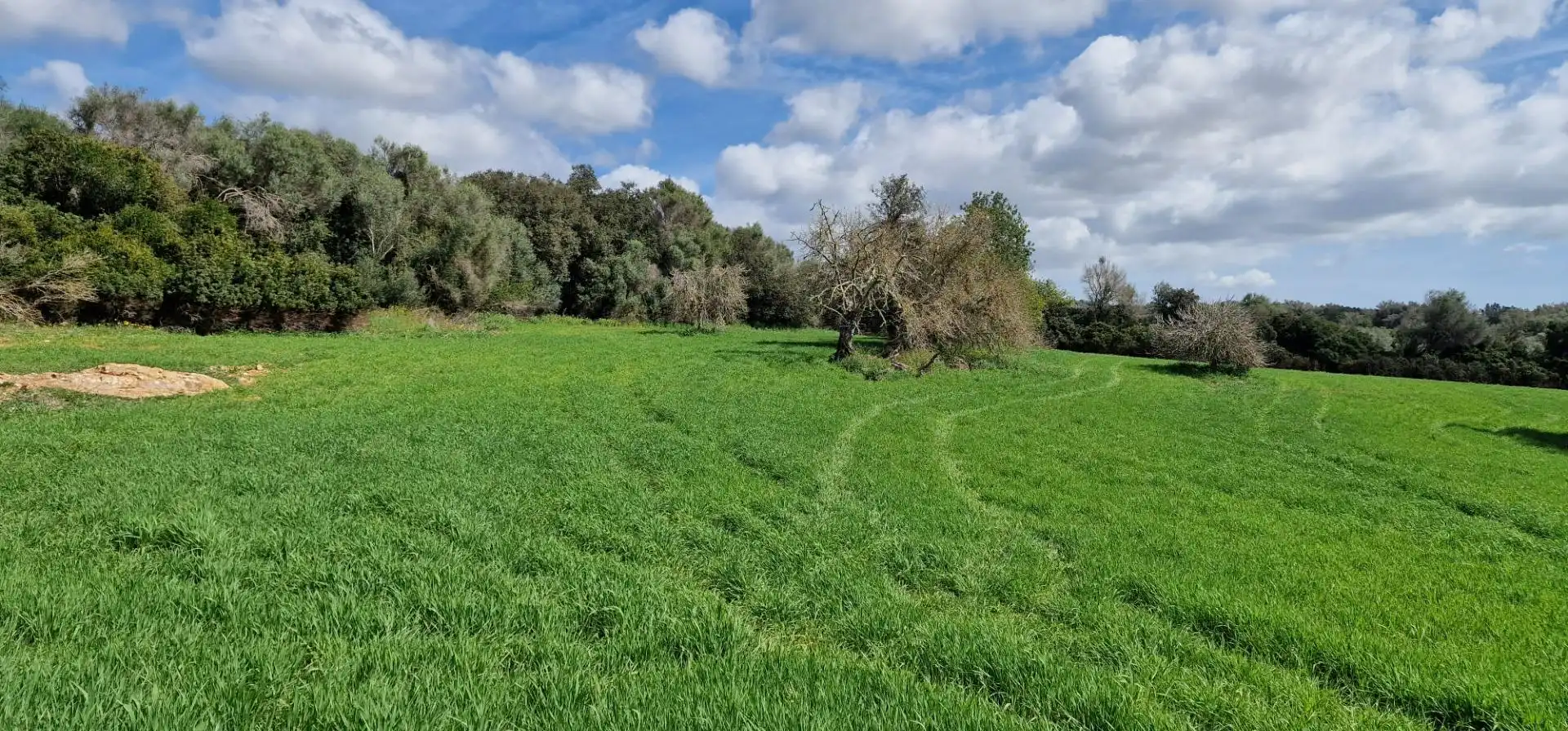 Country homes for sale in Manacor
