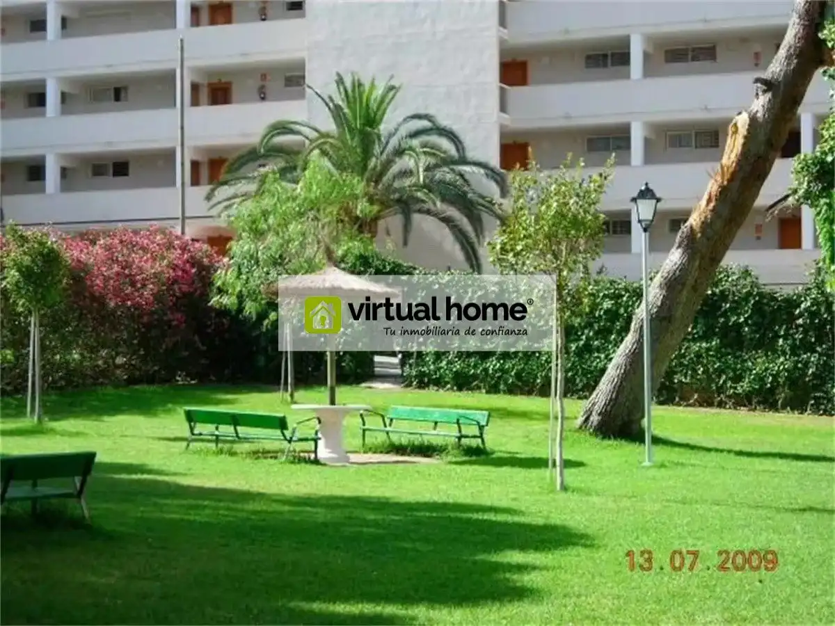 Exterior view of Study for sale in Benidorm  with Private garden and Community pool