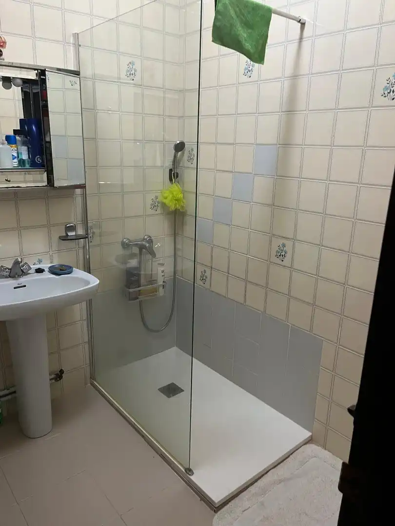 Baño de Casa o chalet en venta en Toledo con Jardín privado, Trastero y Amueblado
