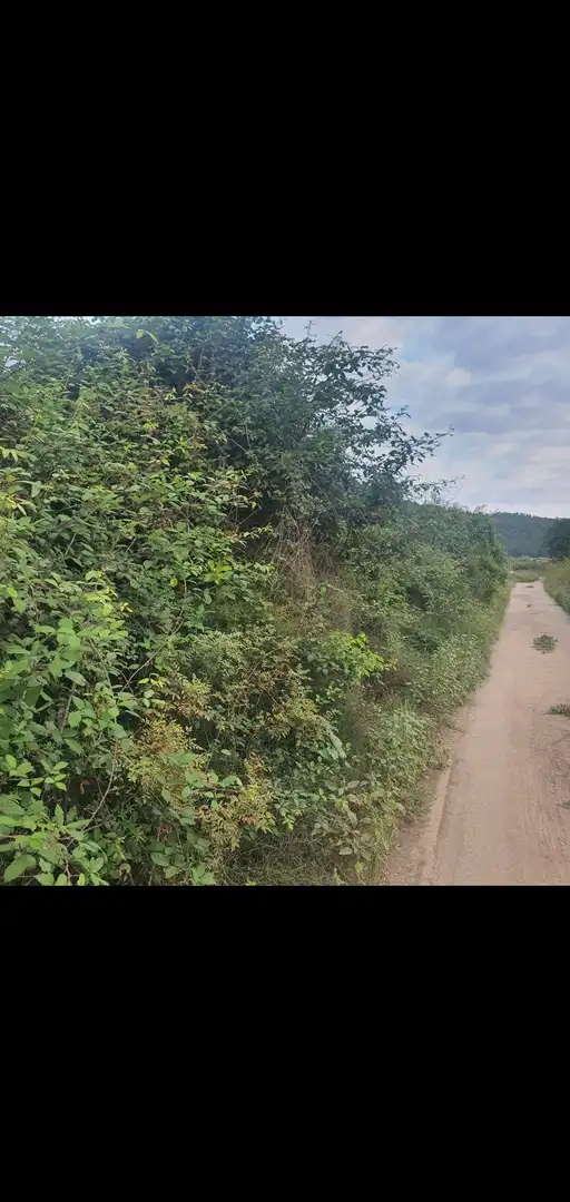 Terreno rústico en venta en Benifallet