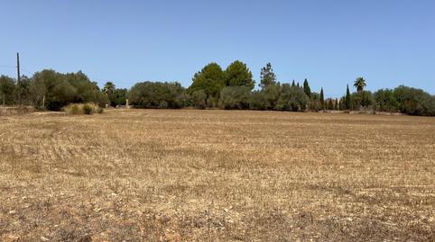 Photo 5 of Country house for sale in Felanitx Poble, Felanitx