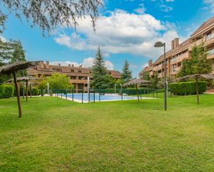 Jardí de Dúplex de lloguer en Pozuelo de Alarcón amb Aire condicionat, Terrassa i Piscina