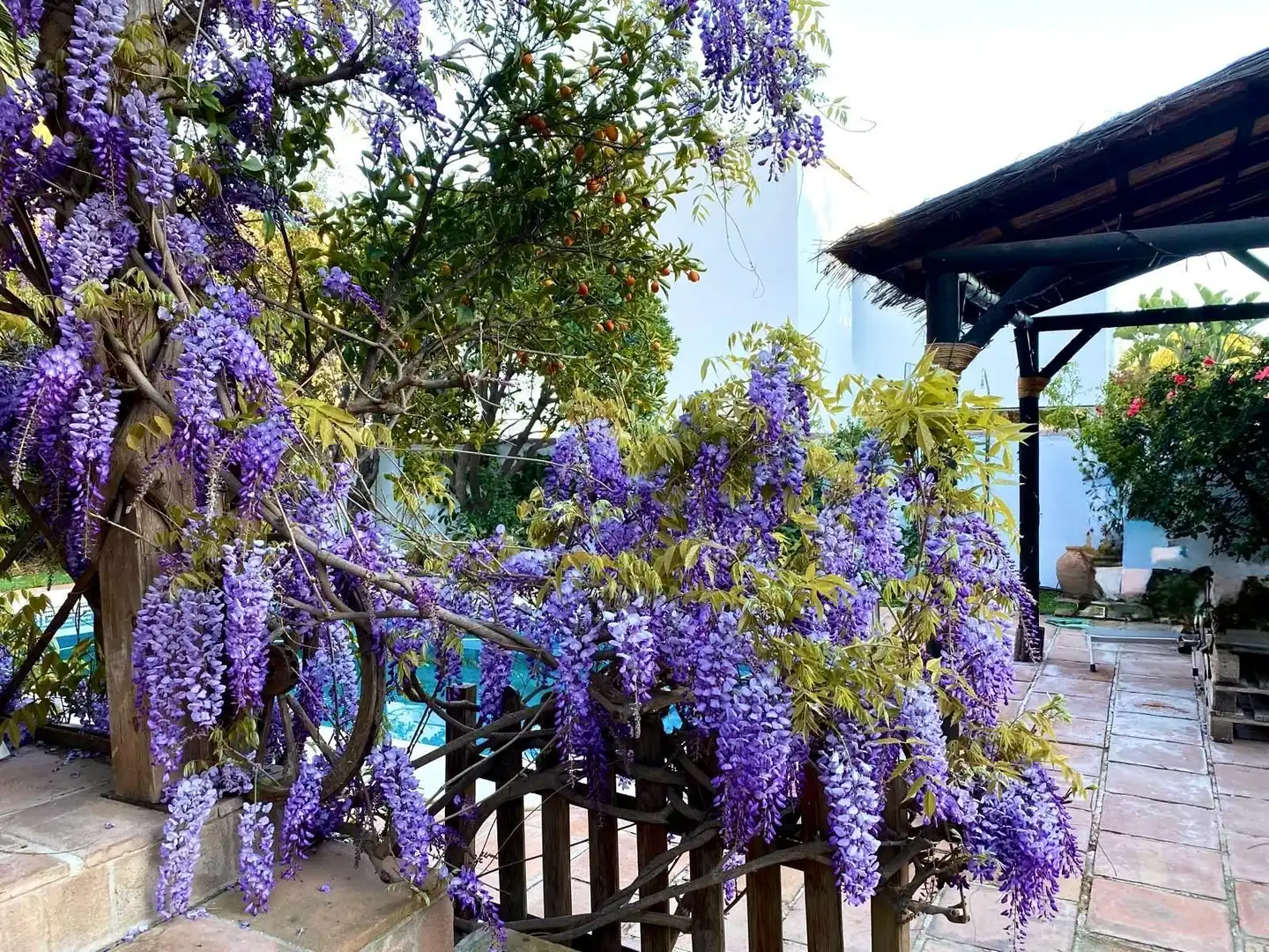 Haus mit Pool zum Verkauf in LEONI BENABÚ, imagen 63