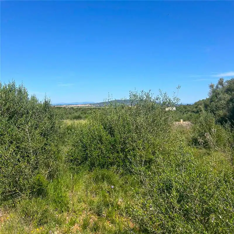 Residential land for sale in Manacor Centre, imagen 2