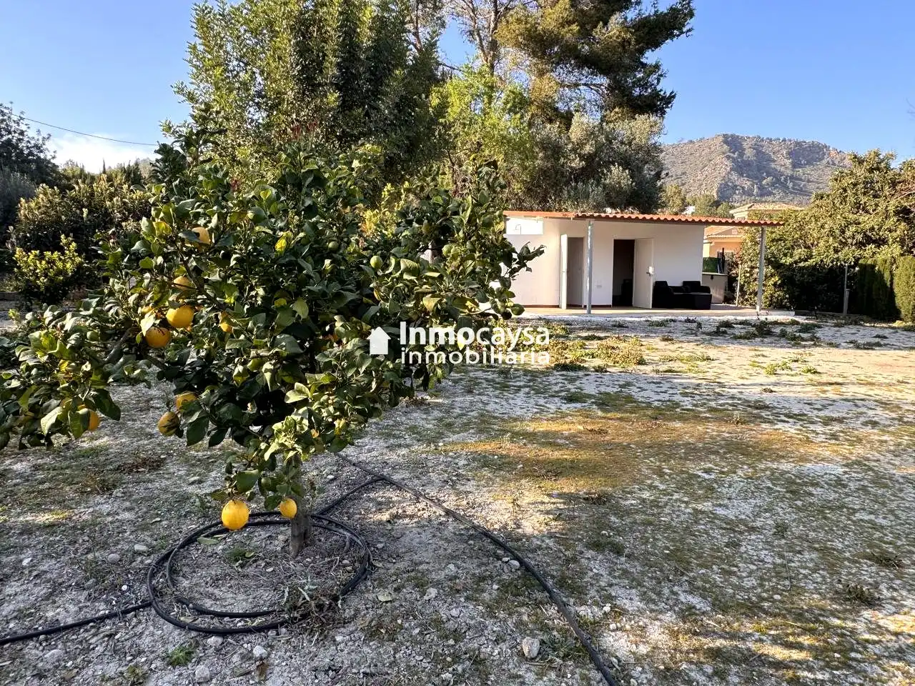 Grundstücke und Bauplätze zum Verkauf in Xàtiva, imagen 2