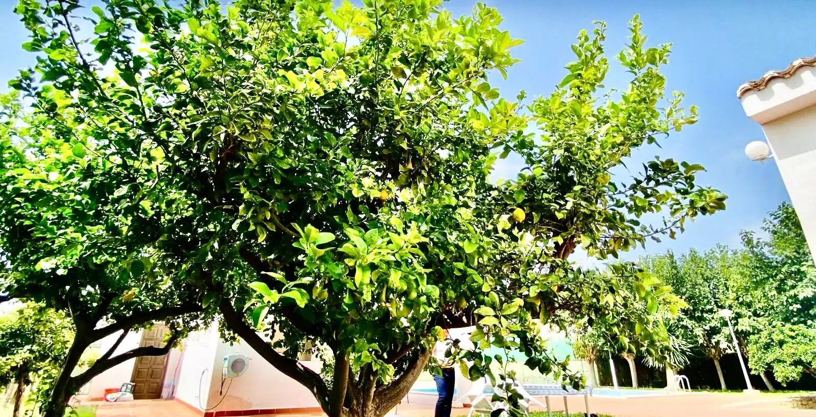 Casa o xalet en venda a Centro