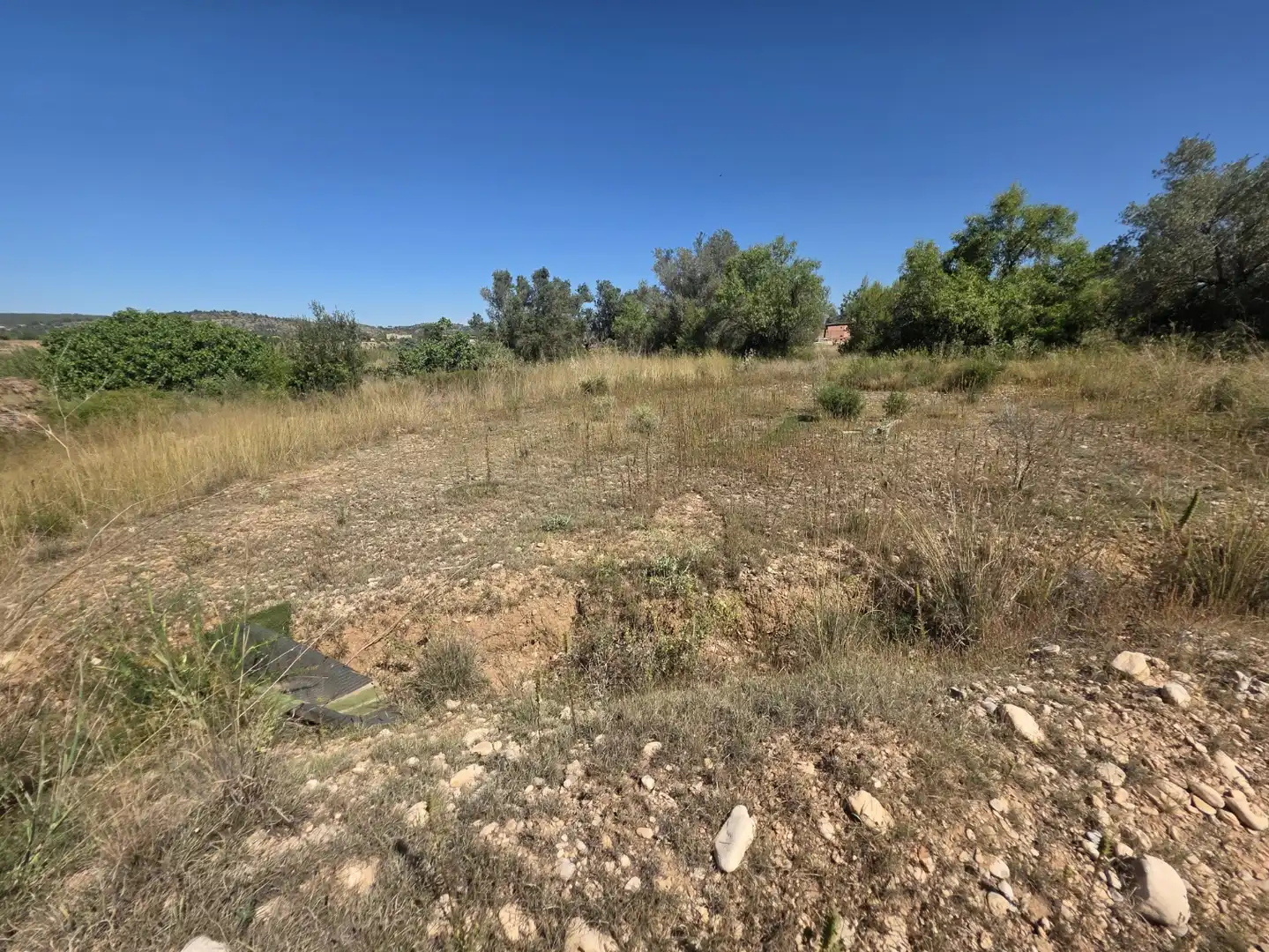 Rural land for sale in Vilamarxant, imagen 9