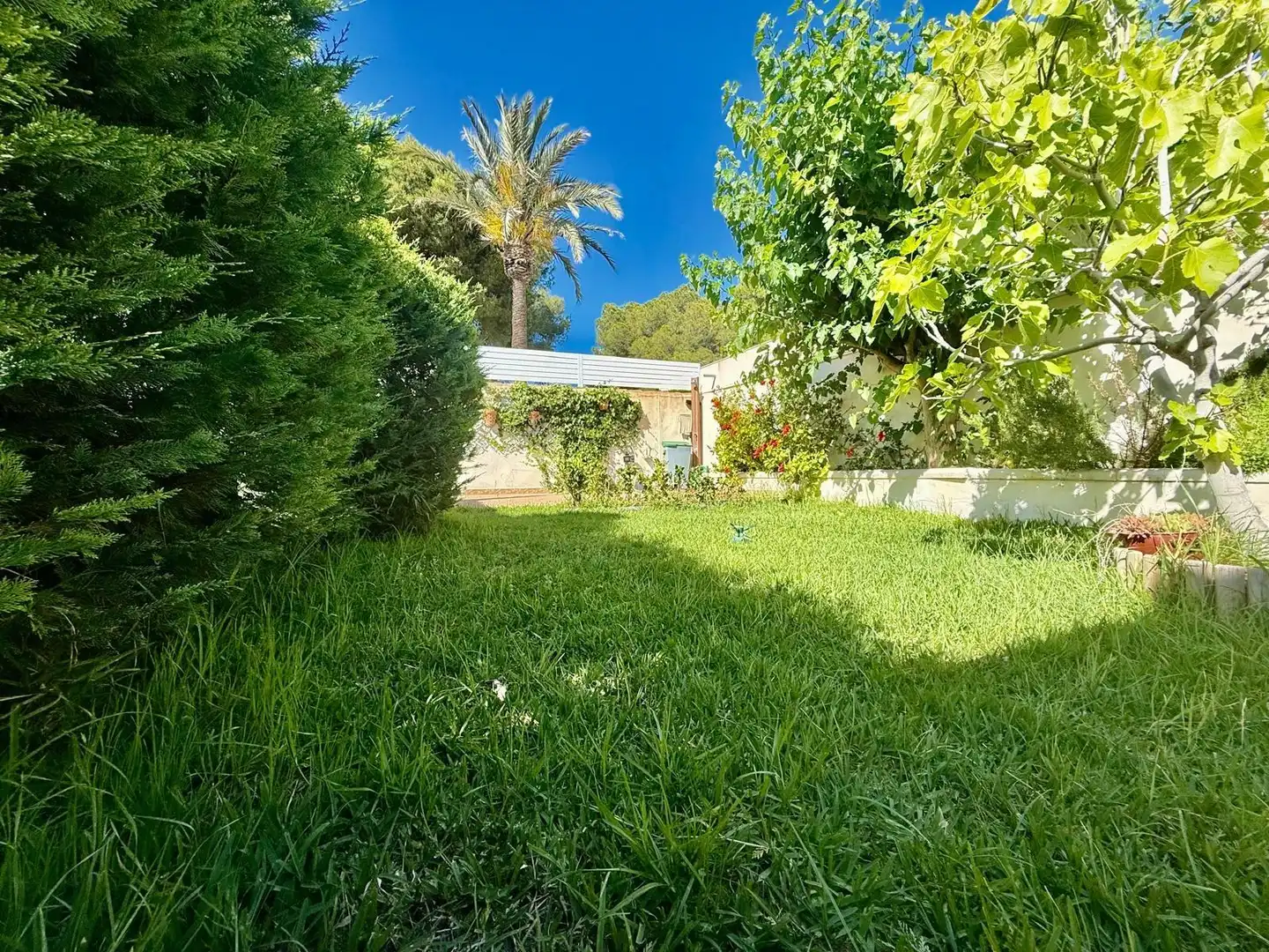Jardí de Casa o xalet en venda en Orihuela amb Aire condicionat, Jardí privat i Terrassa