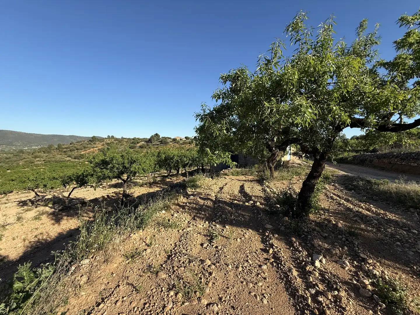 Grundstücke zum Verkauf in Useras /  Les Useres, Castellón