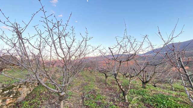 Terreno en Venta en El Torno