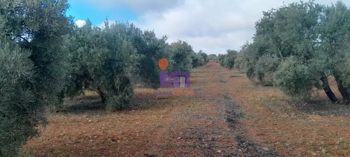 Casa rústica en venda a Valdepeñas, imagen 2