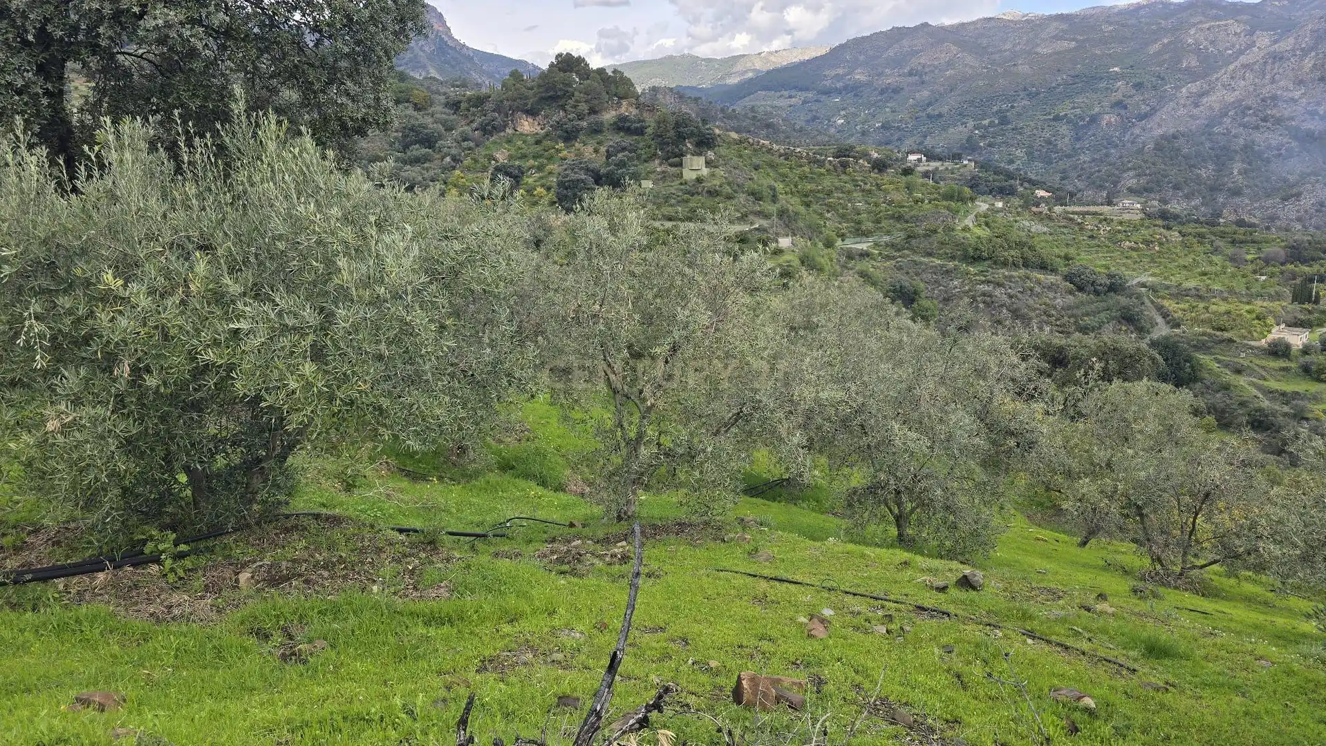 Terreno rustico in vendita a Polígono 11 Parcela 96 EL CERRILLAR. LOS GUAJARES (GRANADA), imagen 5