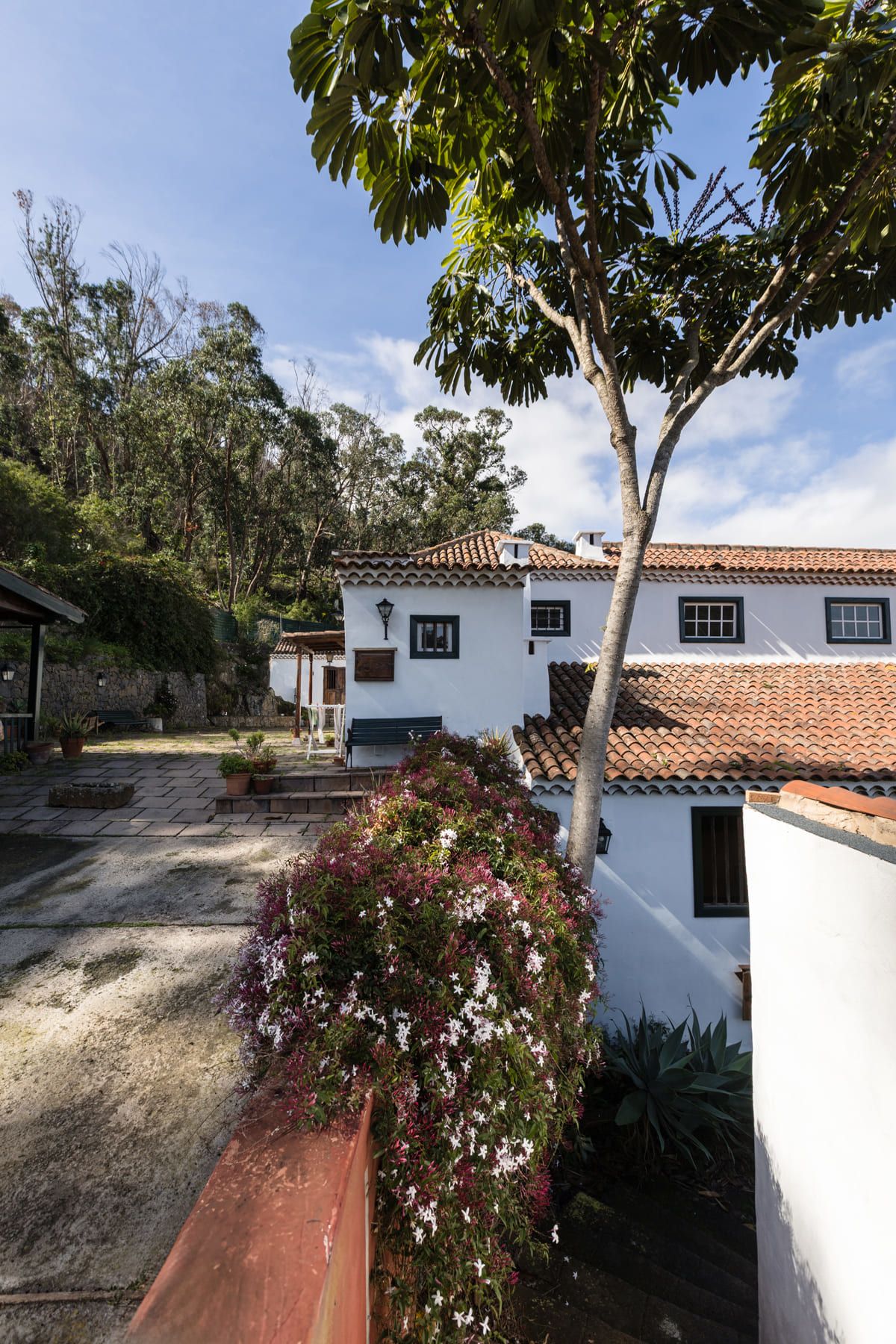 Vista exterior de Finca rústica en venta en Tegueste con Jardín privado, Terraza y Horno